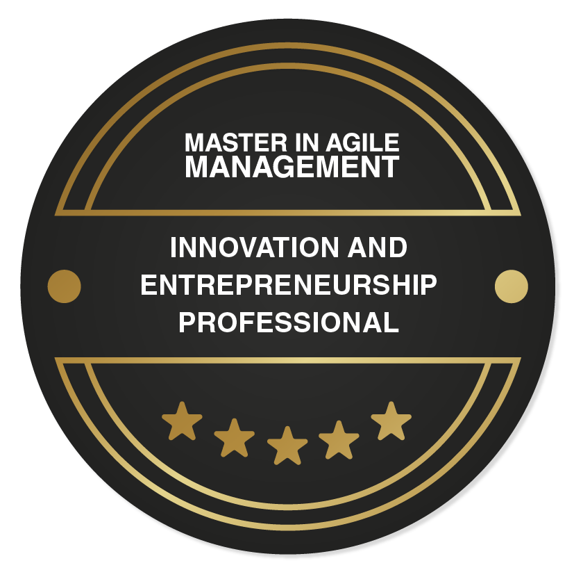 insignia_MAM_modulo 5_Innovation and Entrepreneurship Professional-01